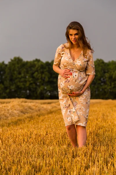 Mulher grávida sentado em um campo de trigo de trigo recém-cortado — Fotografia de Stock