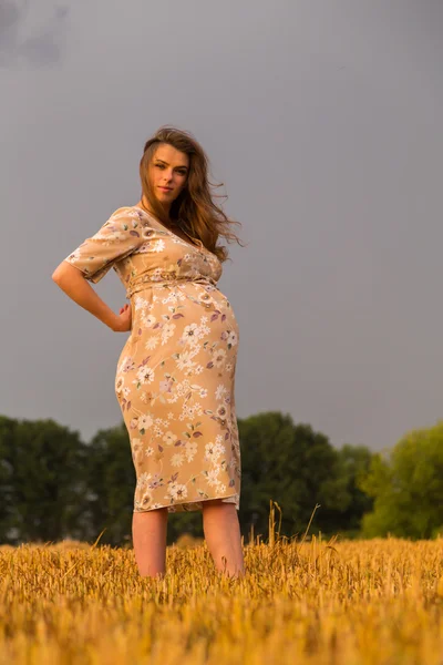 Těhotná žena, sedící v pšeničné pole pšenice, čerstvě řezané — Stock fotografie