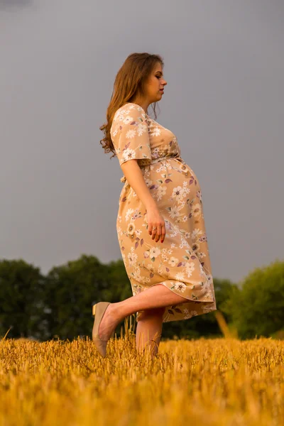 Taze kesilmiş buğday buğday tarlasında oturan hamile kadın