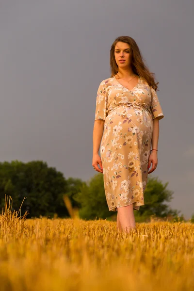 Zwangere vrouw zitten in een tarweveld van vers gesneden tarwe — Stockfoto