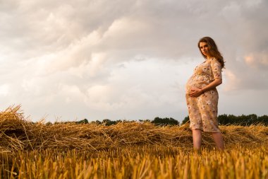 Genç bir adam ve taze kesilmiş buğday buğday tarlasında oturan bir hamile kadın