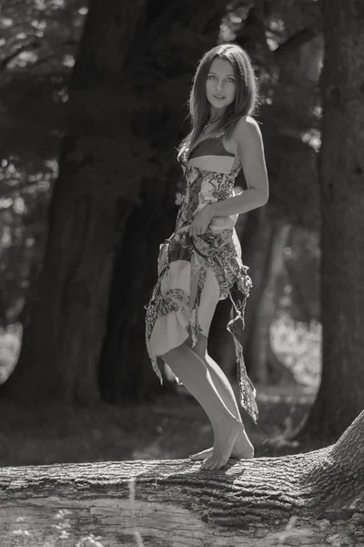 Mladá a atraktivní dívka v krásné letní šaty střední slunné louky — Stock fotografie