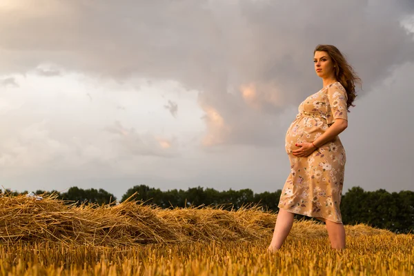 Genç bir adam ve taze kesilmiş buğday buğday tarlasında oturan bir hamile kadın