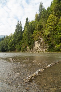Yaz aylarında dağ nehir balıkçılık