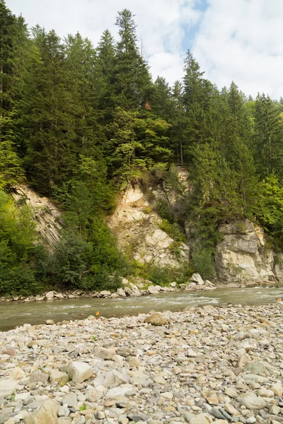 Pesca nel fiume di montagna in estate — Foto Stock