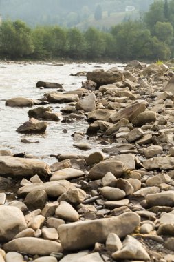 Yaz aylarında dağ nehir balıkçılık