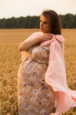 Genç bir adam ve taze kesilmiş buğday buğday tarlasında oturan bir hamile kadın