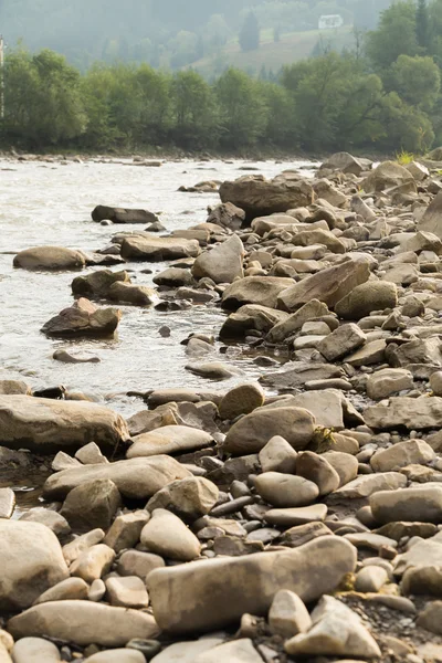 Yaz aylarında dağ nehir balıkçılık