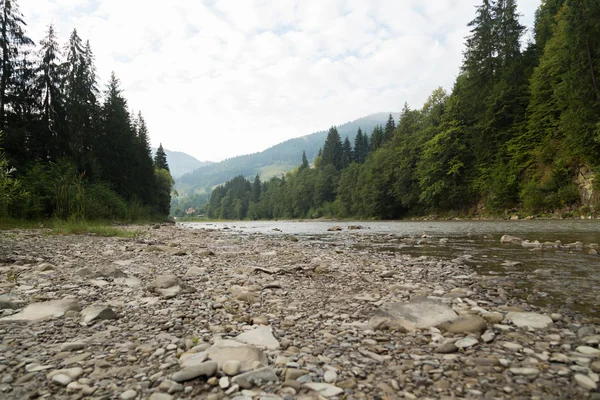 Pesca nel fiume di montagna in estate — Foto Stock