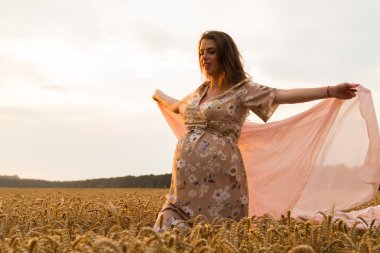 Genç bir adam ve taze kesilmiş buğday buğday tarlasında oturan bir hamile kadın