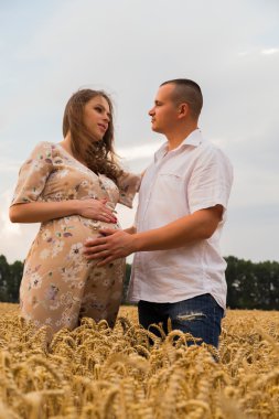 Genç bir adam ve taze kesilmiş buğday buğday tarlasında oturan bir hamile kadın