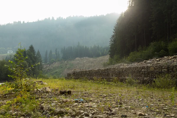 Pesca nel fiume di montagna in estate — Foto Stock