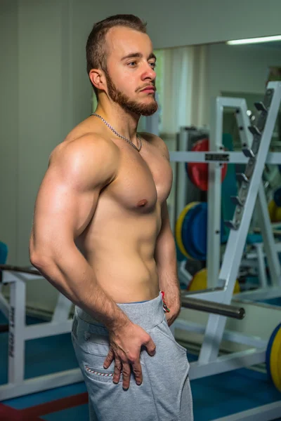 Hombre musculoso en el gimnasio —  Fotos de Stock