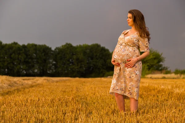 Těhotná žena v pšeničné pole. Šťastná žena v poli. Žena se raduje nenarozeného dítěte. Upřímné emoce a radostný pocit. Krajina nádherná země. Pšeničné pole čeká sklizeň. — Stock fotografie