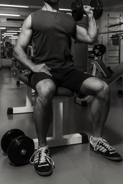 Entrenamiento de fuerza con pesas. Husky tiene una gran mancuerna en la mano. Deporte, culturismo, estilo de vida saludable . — Foto de Stock