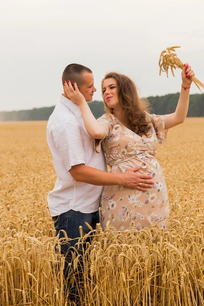 Homem e mulher esperando criança. Momento alegre e emocionante. Casal jovem em um campo de trigo. Sentimentos sinceros. Ternura e amor. Bela paisagem . — Fotografia de Stock