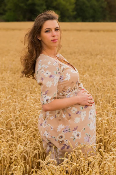 Těhotná žena v pšeničné pole. Šťastná žena v poli. Žena se raduje nenarozeného dítěte. Upřímné emoce a radostný pocit. Krajina nádherná země. Pšeničné pole čeká sklizeň. — Stock fotografie