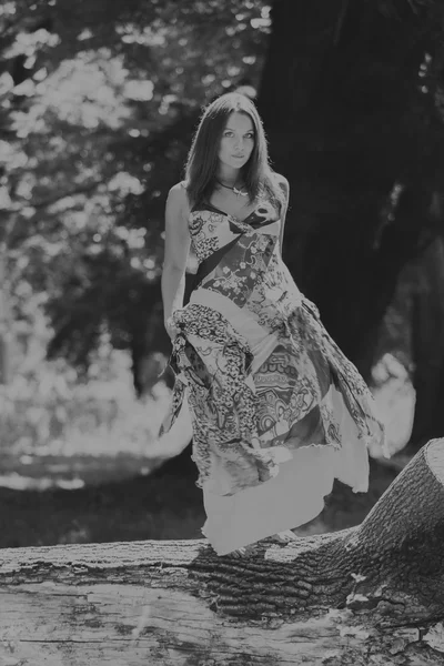 Hermosa joven en un vestido en un fondo de la naturaleza. La elegancia de la imagen romántica de la niña. Foto en blanco de Krasyvechorno. Foto para revistas de moda y sociales, carteles y sitios web . —  Fotos de Stock