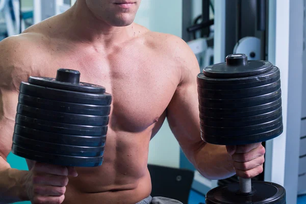 Entrenamiento de fuerza con pesas. Husky tiene una gran mancuerna en la mano. Deporte, culturismo, estilo de vida saludable . — Foto de Stock