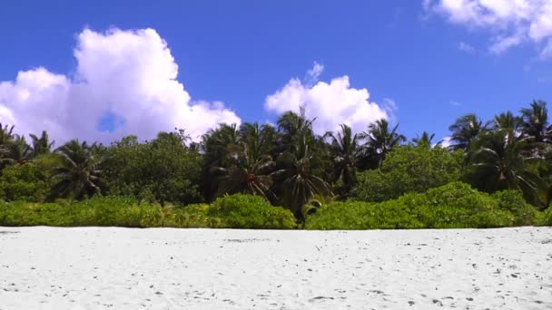 Playa y cielo de Maldivas — Vídeos de Stock