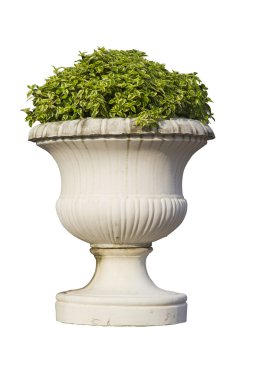 Roman pillars gardening