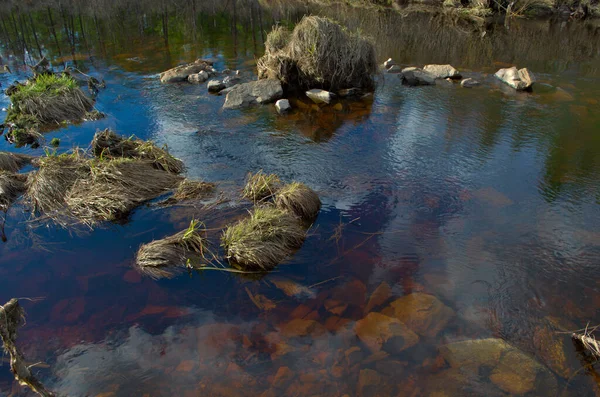 Rivier stroomt hun wateren naar zijn plaats op aarde — Stockfoto