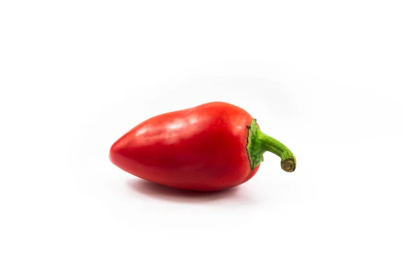 Pepper Isolated White Background — Stock Photo, Image