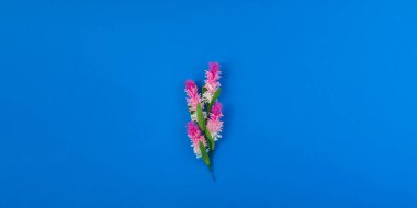 Dekoratif çiçek ve arkaplan teması üzerine bir dizi fotoğraf, düz tasarım, desenler ve üst görünüm, mavi arkaplan, metin için yer, dekoratif servis setleri, çerçeveler