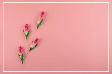 Çiçek kompozisyonu. Bir fincan kahve, kurumuş çiçekler ve yapraklar. Üst manzara, düz uzanma