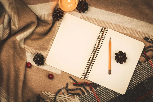 Sanatçının rahat çalışma yeri, bir çam kozalağı çizimi, not defteri ve kalem fotoğrafını kopyala