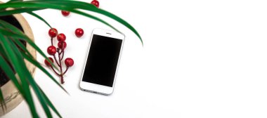 Masaüstü modern iş yeri konsepti, masada bitkili akıllı telefon, fotokopi alanı fotoğraflı beyaz izole arkaplan