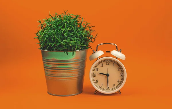 鮮やかなオレンジ色の背景写真に家の植物とポップアートスタイルの写真目覚まし時計 — ストック写真
