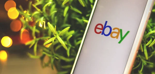 Charkov Ukrajina Ledna 2021 Internetový Obchod Ebay Logo Displeji Apple — Stock fotografie