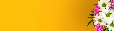 Bahar mevsimi konsepti, bir buket güzel çiçek, pankart boyutu sarı arka planda yatıyordu, kopyalama alanı kompozisyonu
