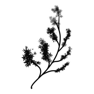 Beyaz izole arkaplanda yapraklı ağaç dalı siluetleri