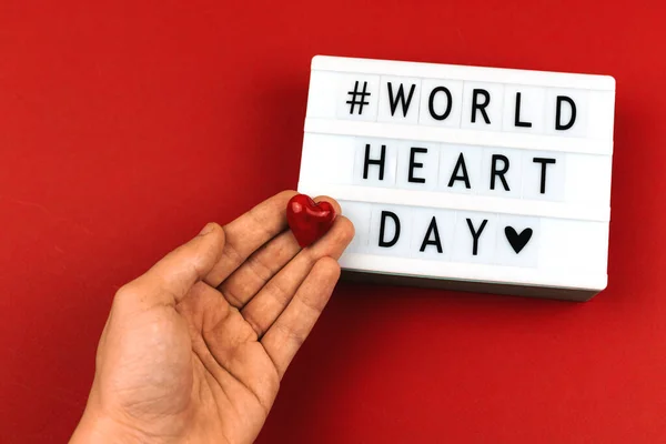 Heart in hand, world heart day background with text inscription, healthcare and charity concept photo