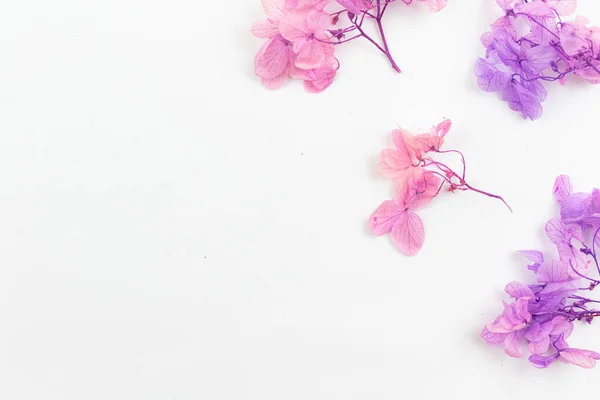 Colorful dry flower border composition on a white background, floral flat lay concept photo