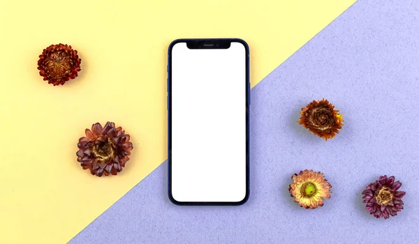 Kharkov Ukraine March 2021 Iphone Mini Mockup Blank White Screen — Foto de Stock