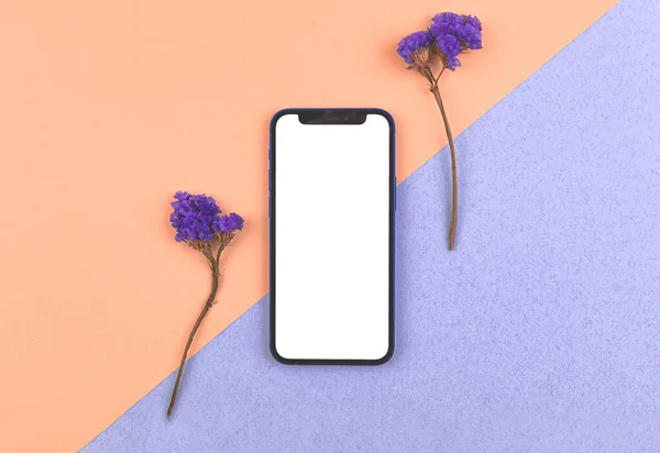 Kharkov Ukraine March 2021 Flat Lay Mockup Modern Mobile Phone — Stockfoto