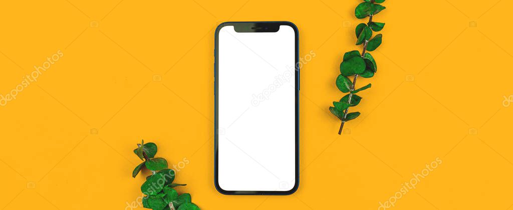 Kharkov, Ukraine - March 26, 2021: Apple iPhone 12 mockup background with dried flowers on a yellow paper, blank white screen, copy space, flat lay photo
