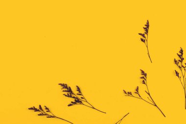 Dried grass background, purple dry flowers on a yellow paper, flat lay concnept and top view photo