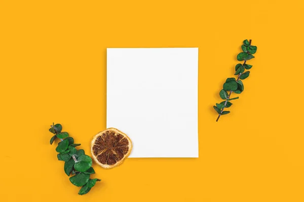 Dried Branches Flat Lay Mockup Concept Yellow Background Blank White — Foto de Stock