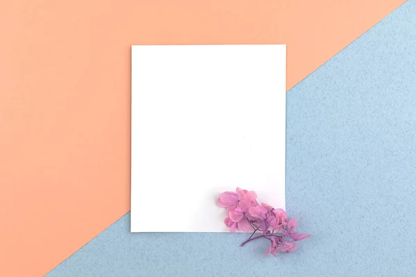 Blank White Paper Card Dried Flowers Flat Lay Workspace Concept — 스톡 사진