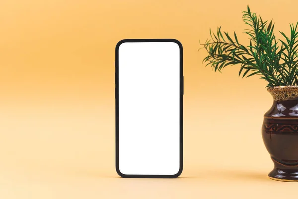 Smartphone Mockup Still Life Concept Background Dried Grass Beige Paper — Stockfoto