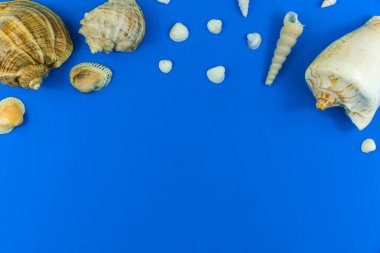 Summer vacation composition with seashell border on a blue background, copy space, flat lay and top view photo