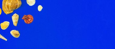 Sea and summer background with sea shell and pebble, copy space and top view composition photo