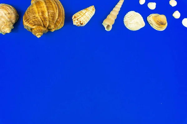 Summer Vacation Composition Border Made Seashell Flat Lay Blue Background — Stok fotoğraf