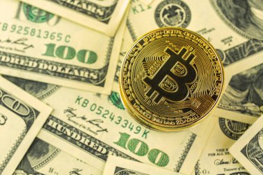 Bitcoin ve dolar iş kripto para birimi geçmişi 
