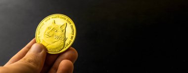 Elinde bir altın dogecoin bulunan şifreli para birimi pankartı, boşluğu kopyala 