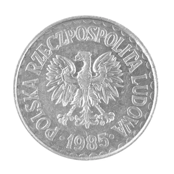 在一张白色背景照片上分离出一枚1兹罗提硬币背面的Prl — 图库照片